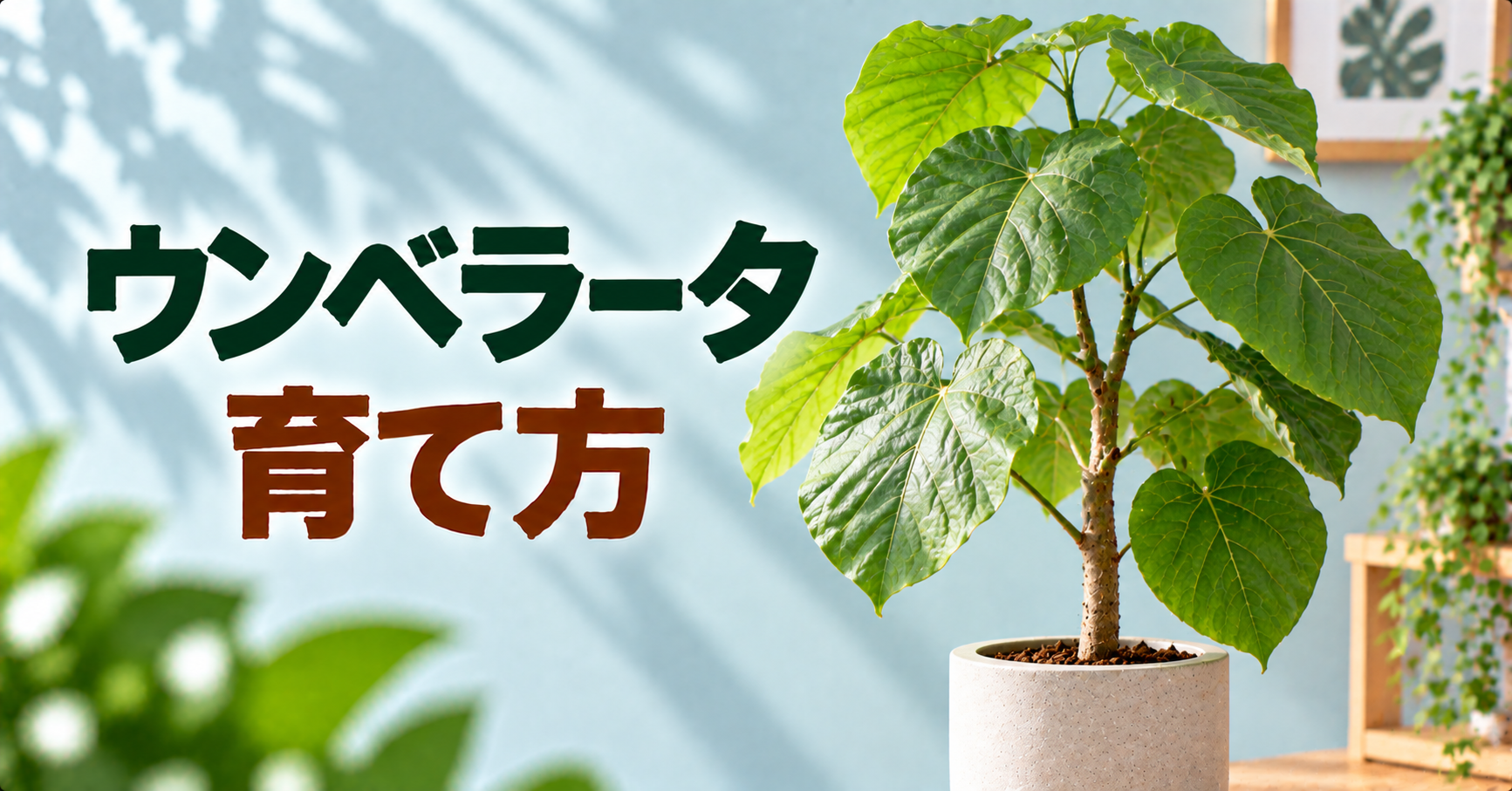 ウンベラータの育て方完全ガイド｜水やり・剪定・植え替えと元気がない原因