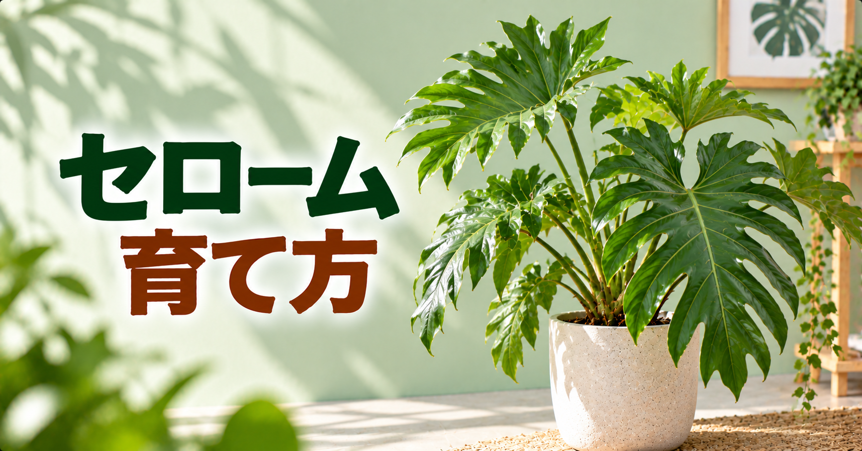 セロームの育て方｜水やり・置き場所・植え替え・剪定を徹底解説