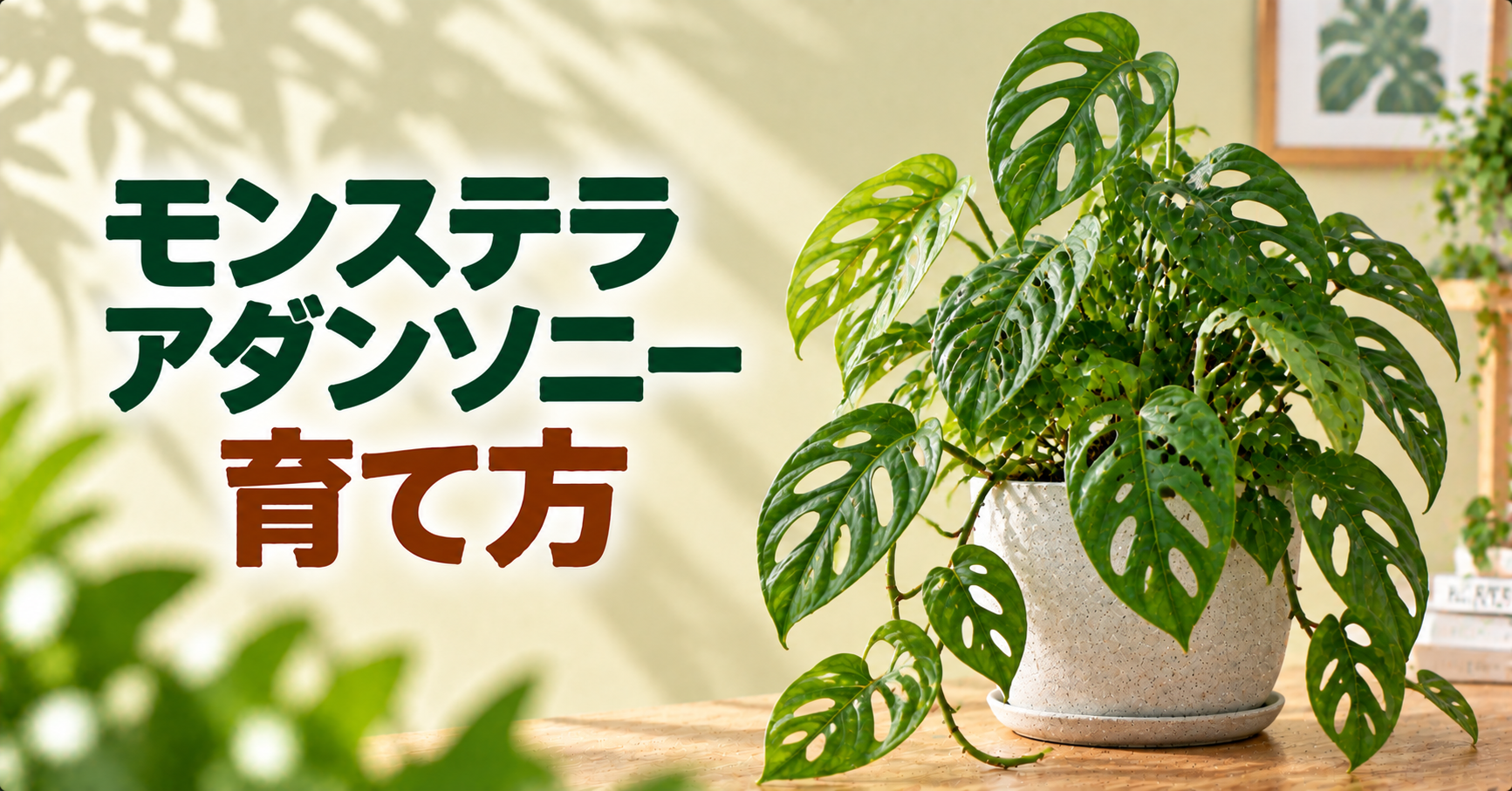 モンステラ・アダンソニーの育て方｜水やり・置き場所・植え替えを詳しく解説