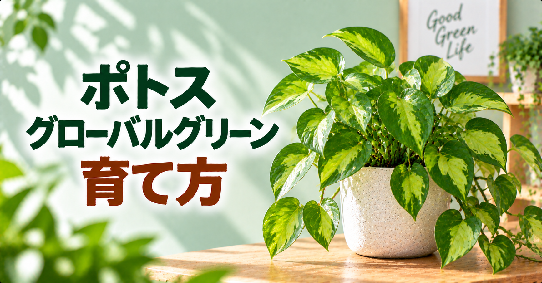 ポトス・グローバルグリーンの育て方｜美しい濃淡模様を保つ管理方法を解説