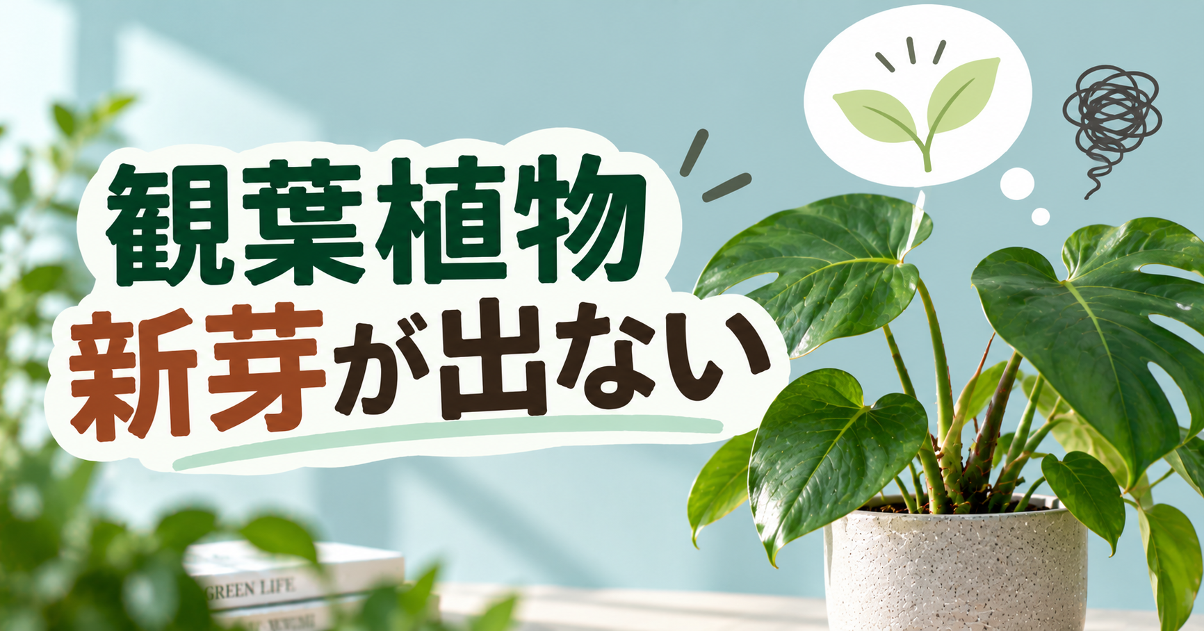 観葉植物の新芽が出ない原因は？生長が止まったときの対処法を解説