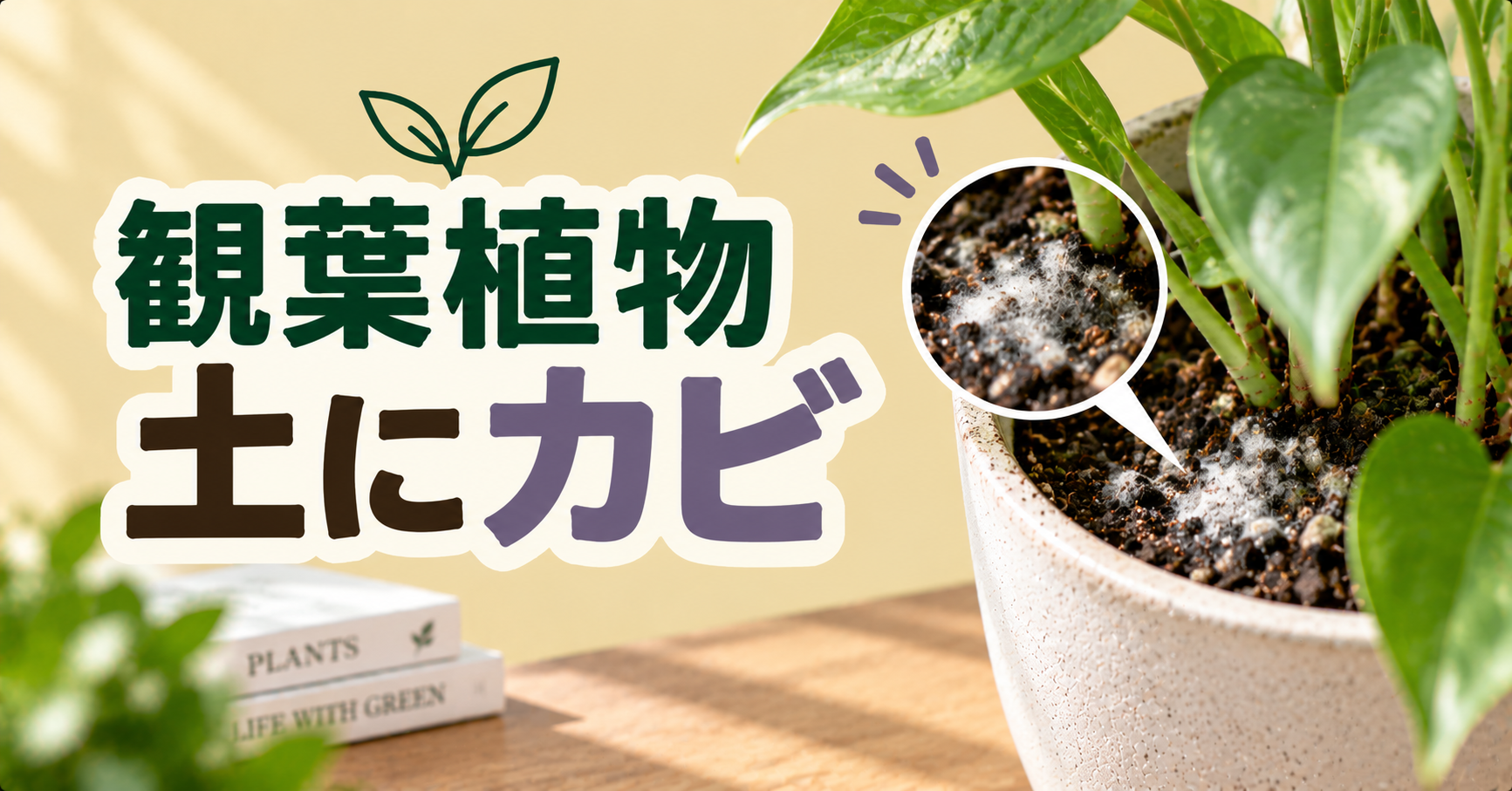 観葉植物の土にカビが生えたら？原因・取り方・植え替えと再発予防を解説