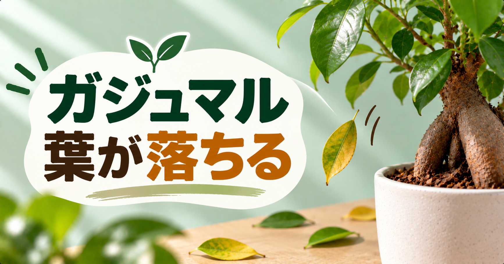 ガジュマルの葉が落ちる原因は？症状別の見分け方と復活させる方法