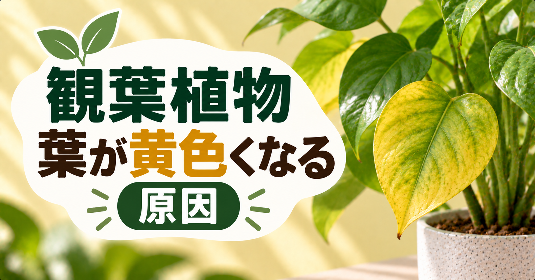 観葉植物の葉が黄色くなる原因は？症状別の見分け方と正しい対処法