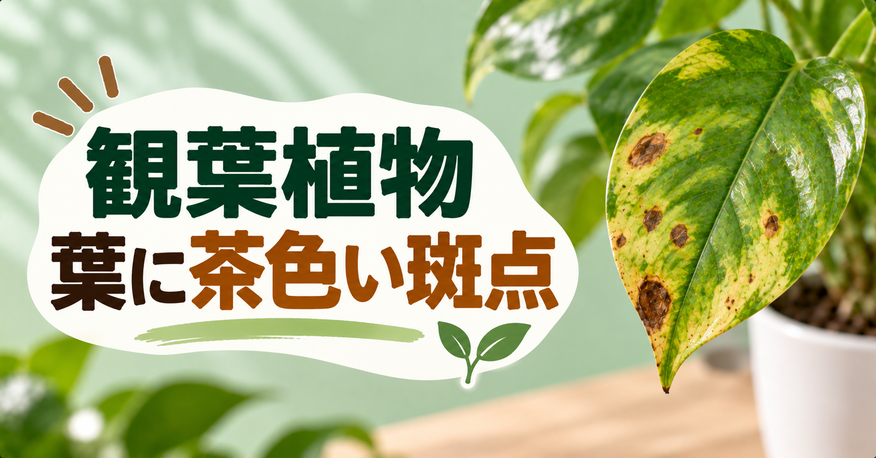 観葉植物の葉に茶色い斑点ができる原因は?症状の見分け方と対処法