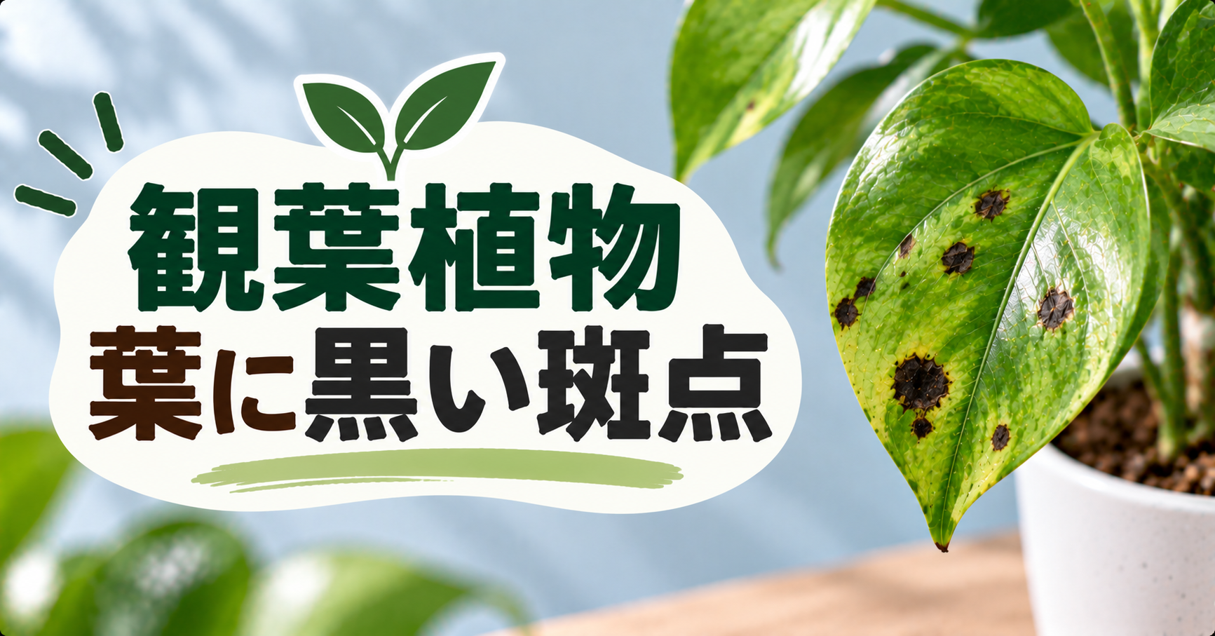 観葉植物の葉に黒い斑点ができる原因は?症状の見分け方と対処法