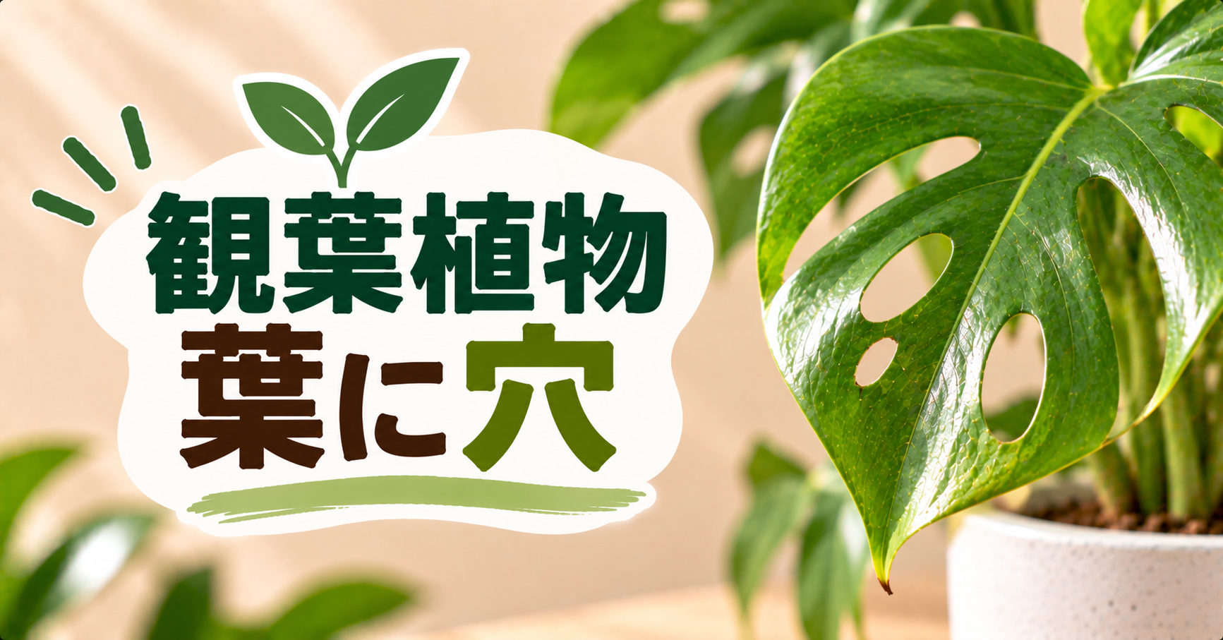 観葉植物の葉に穴が開く原因は?虫食い・傷の見分け方と対処法
