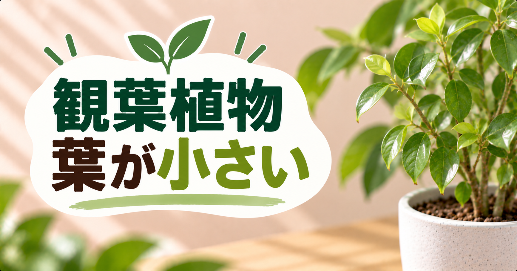 観葉植物の葉が小さくなる原因は?新しい葉を大きく育てる改善方法を解説