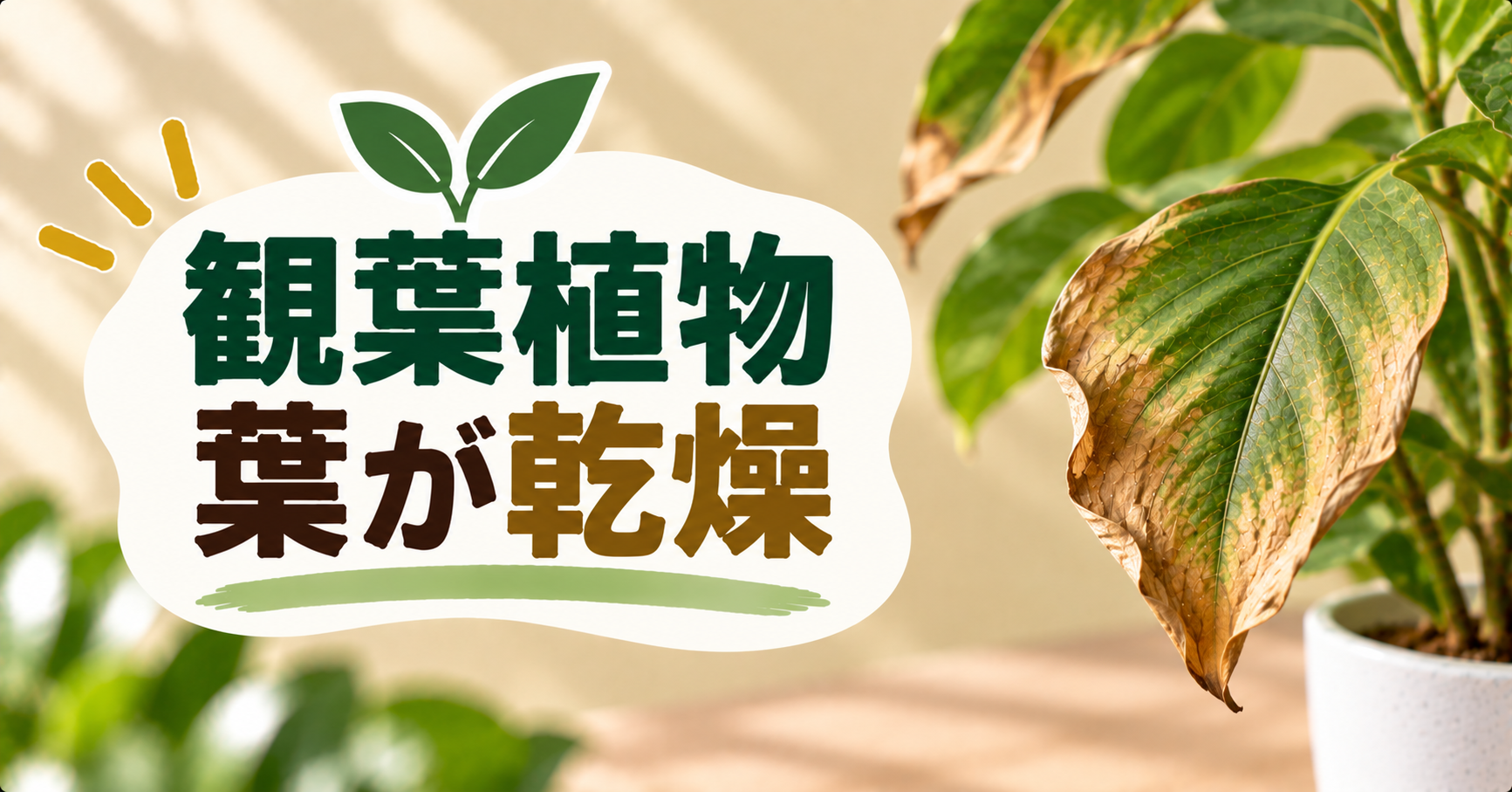 観葉植物の葉が乾燥する原因は?カサカサ・葉先が枯れるときの対処法を解説