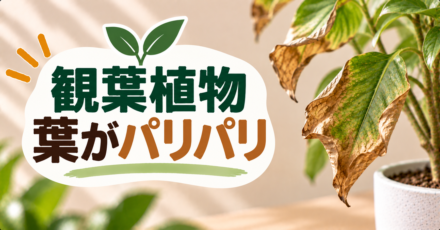 観葉植物の葉がパリパリになる原因は?復活の可能性と正しい対処法を解説