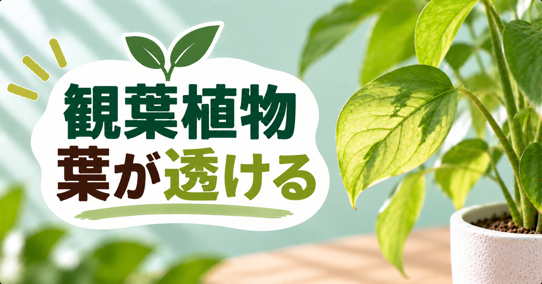 観葉植物の葉が透ける原因は?半透明になる症状の見分け方と正しい対処法
