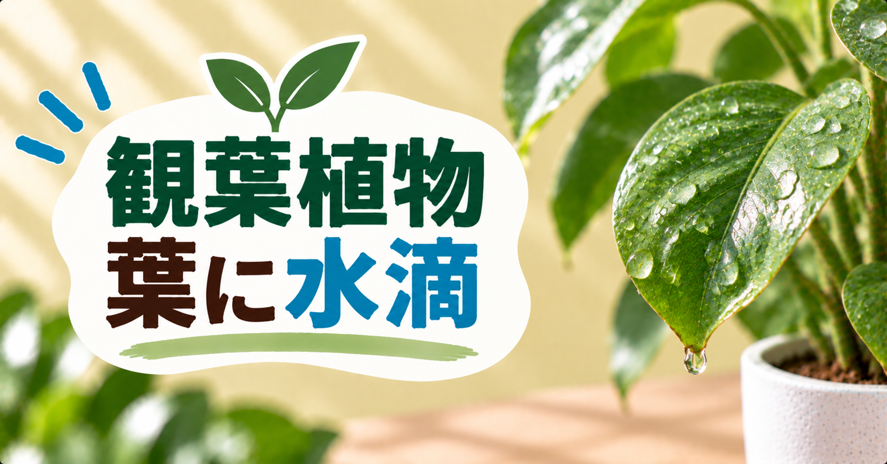 観葉植物の葉に水滴がつくのはなぜ?葉先から水が出る原因と正しい対処法