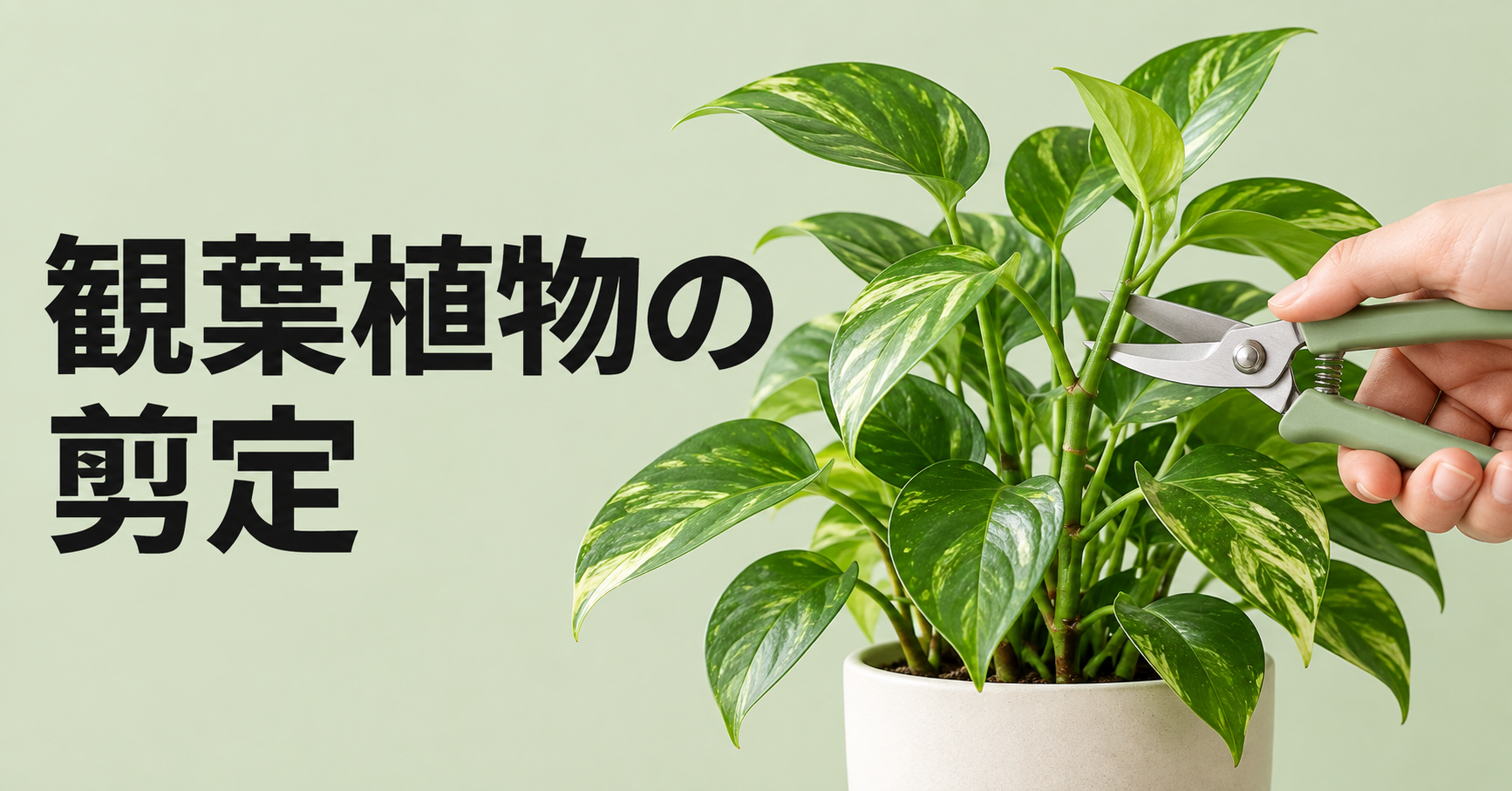観葉植物の剪定方法｜適した時期・切る場所・失敗しないコツを詳しく解説