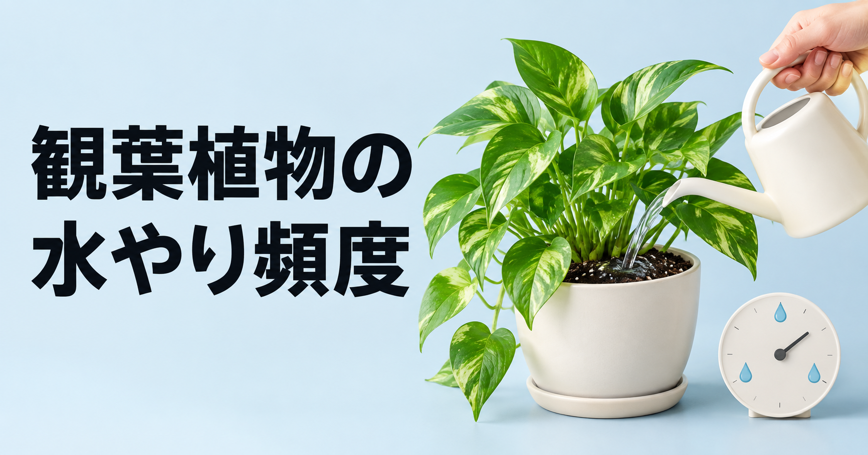観葉植物の水やり頻度はどのくらい？季節・種類別の目安と判断方法