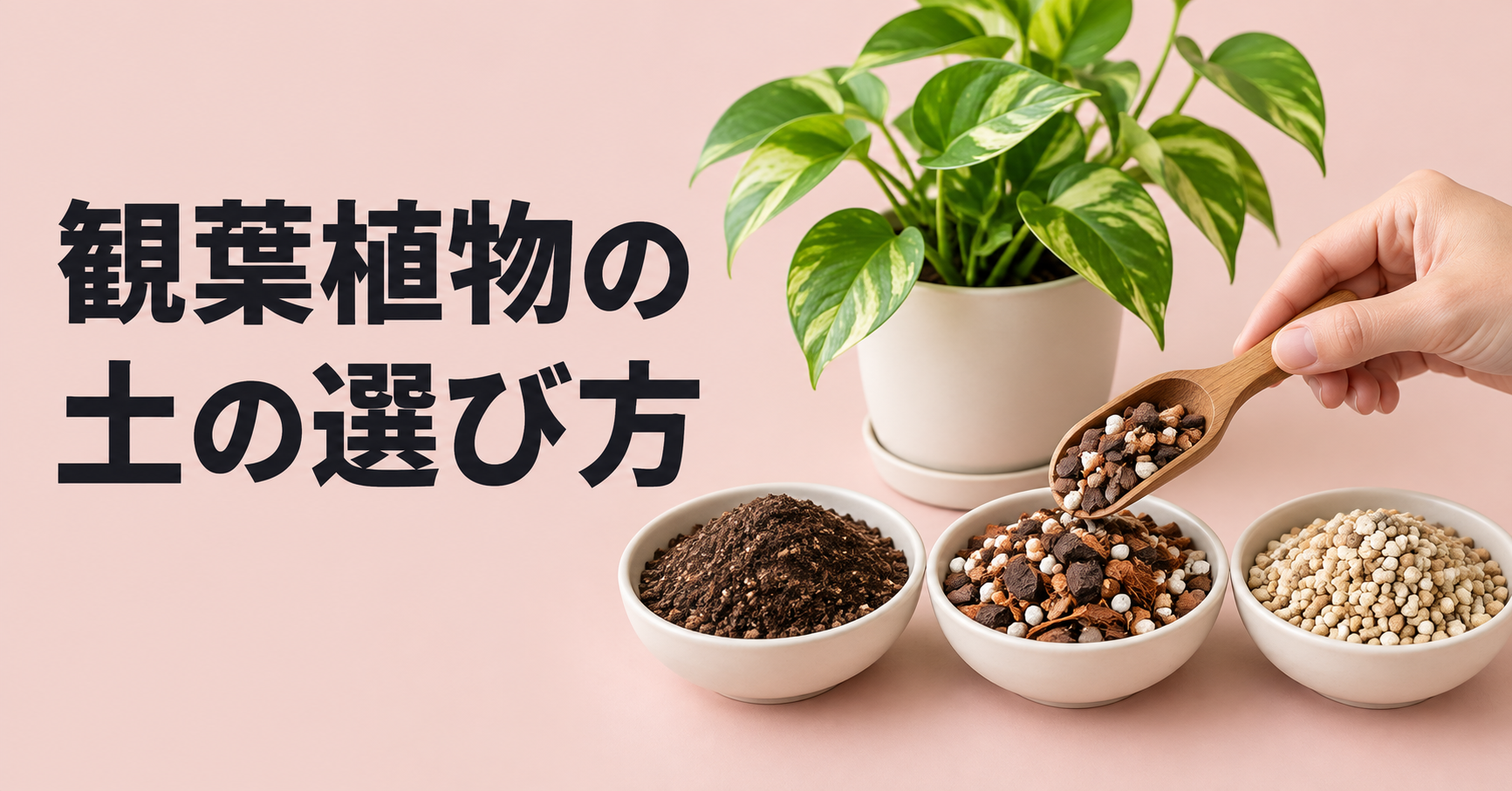 観葉植物の土の選び方｜初心者でも失敗しない種類・配合・植え替えの基本