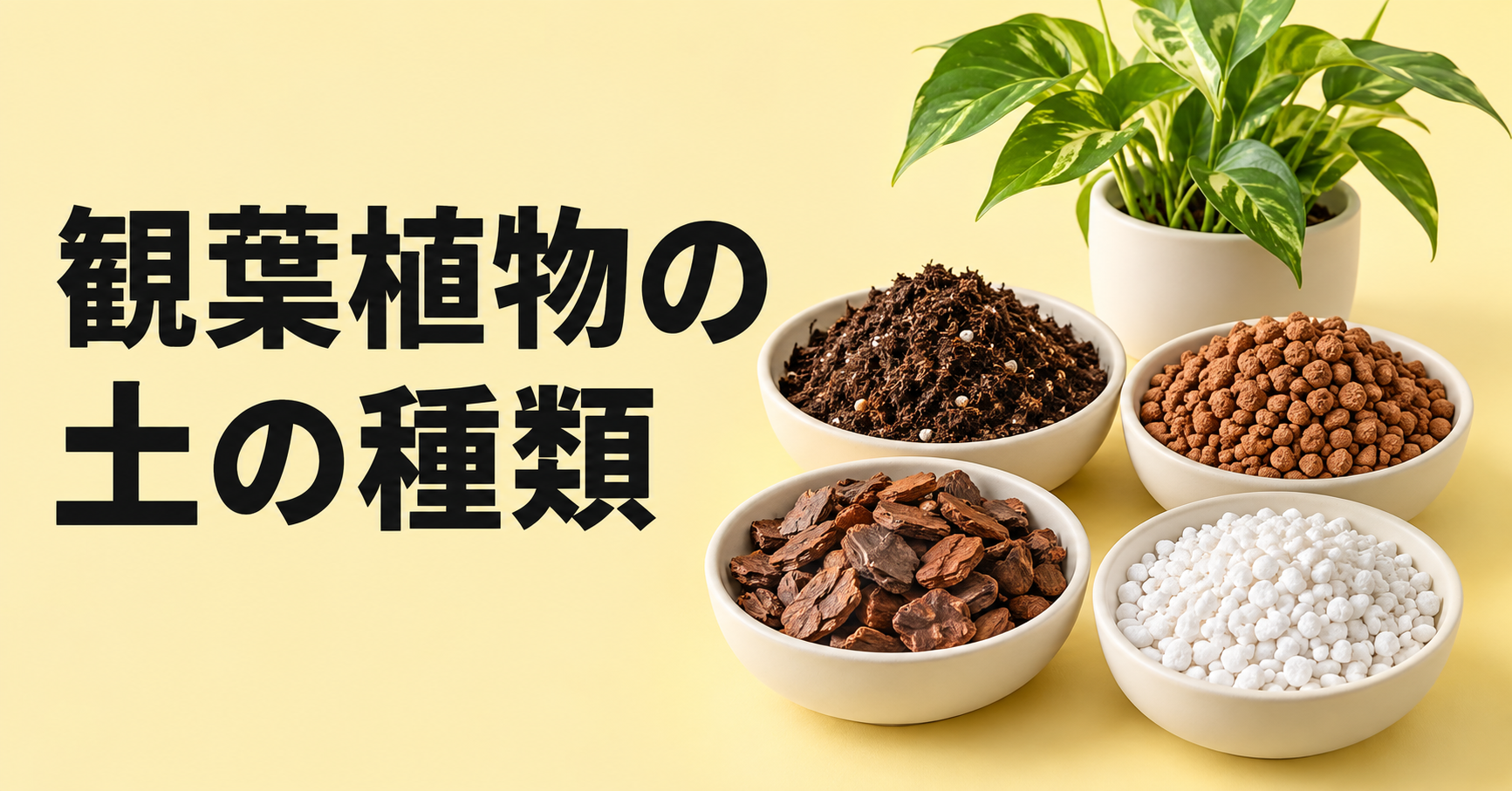 観葉植物の土の種類と選び方｜植物別の配合・市販培養土・植え替え方法まで解説