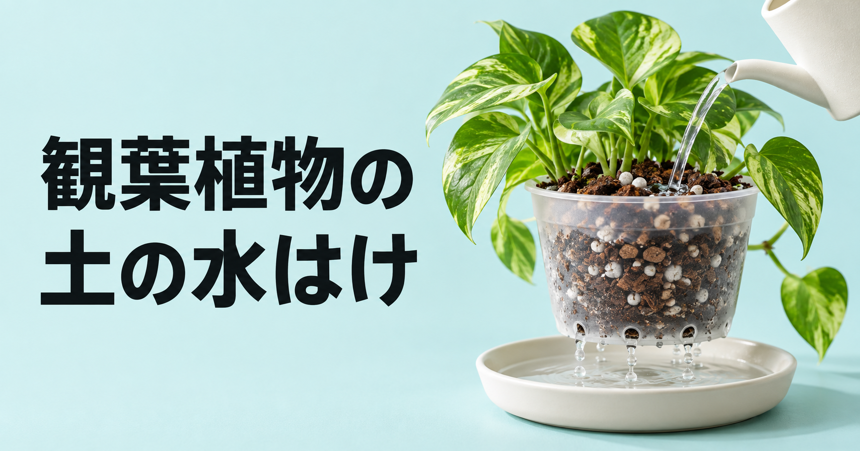 観葉植物の土の水はけを改善する方法｜悪くなる原因・見分け方・配合を解説