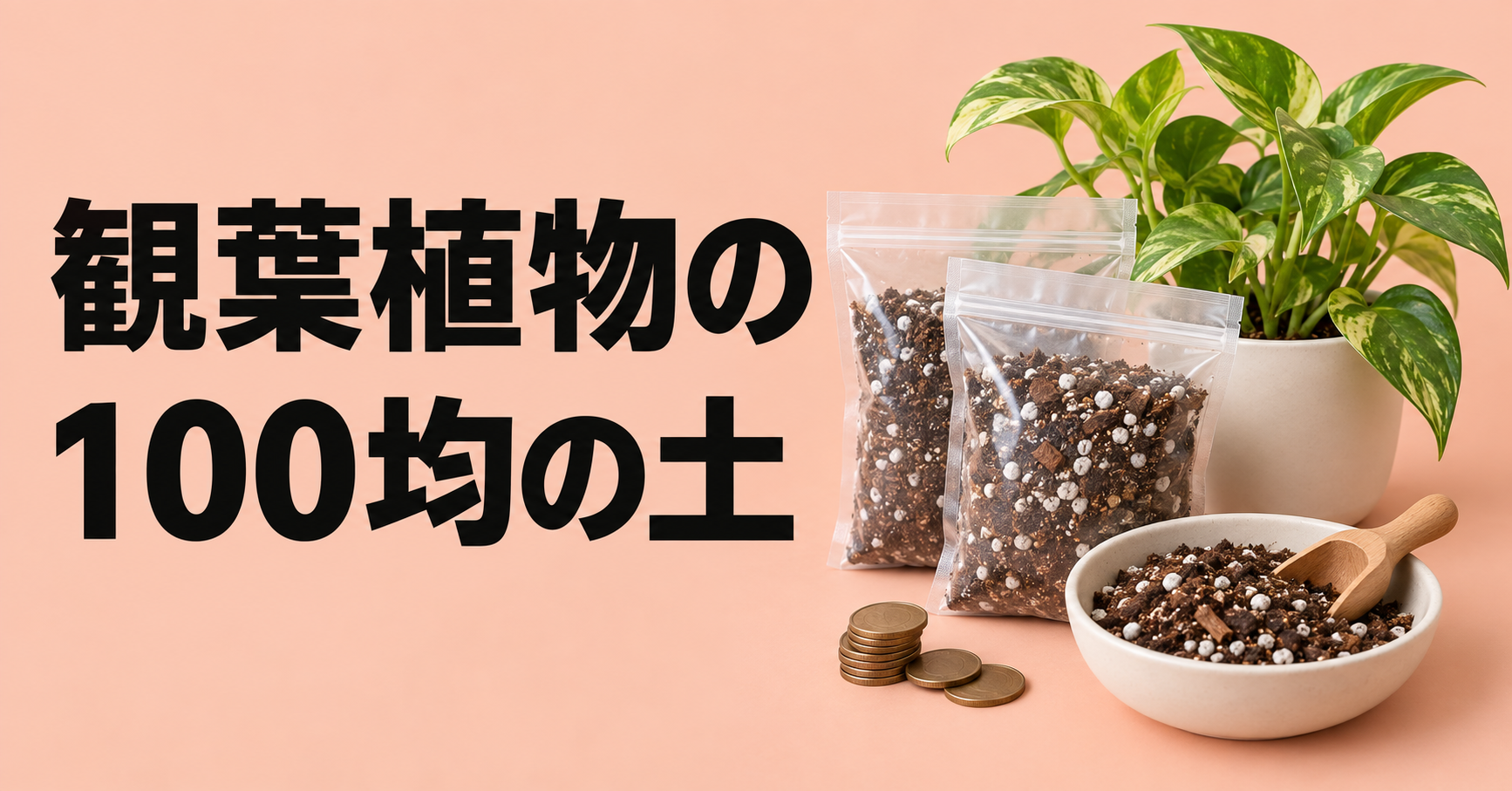 100均の土で観葉植物は育つ？選び方・使い方と失敗を防ぐポイント
