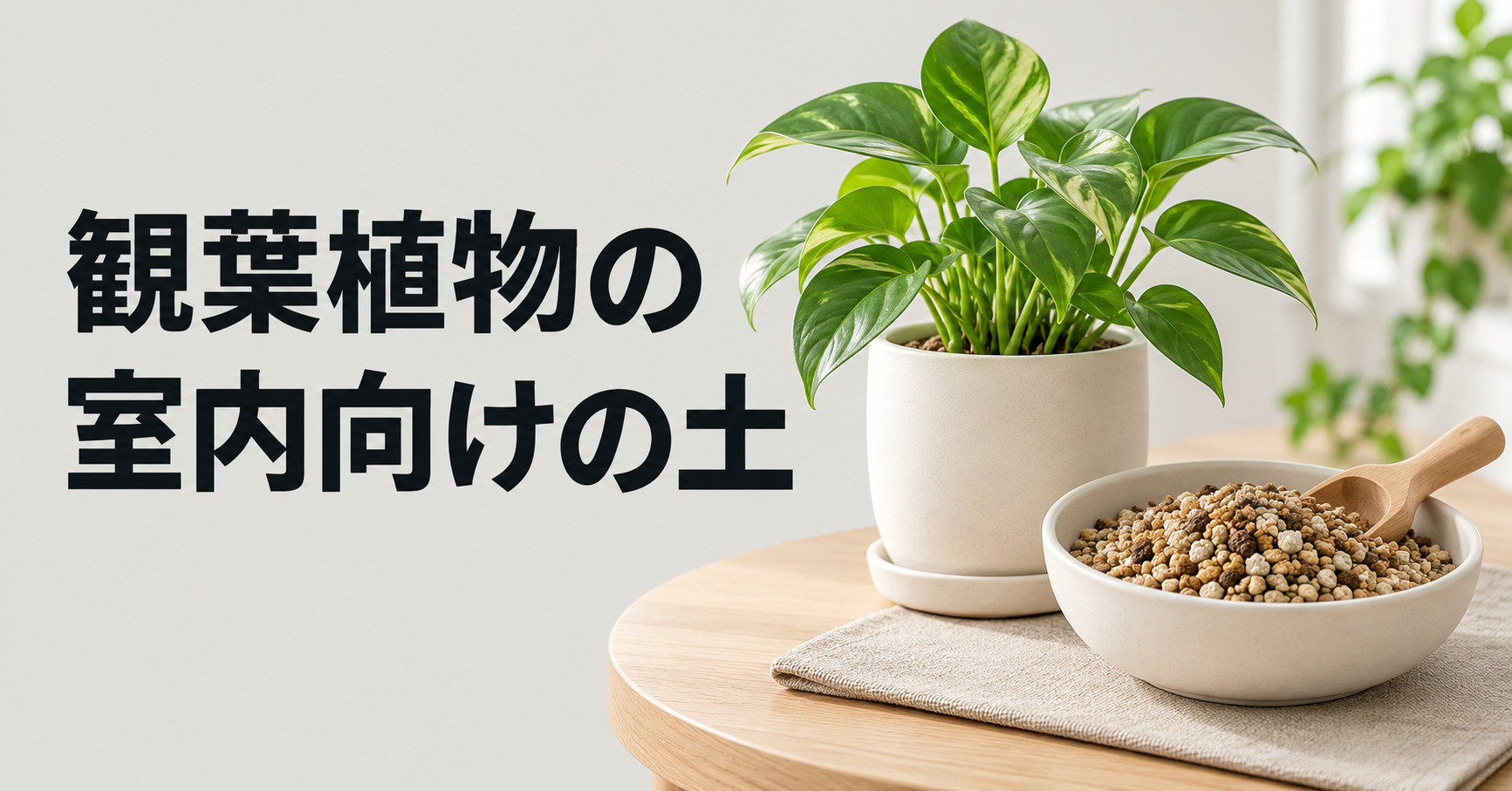 観葉植物の室内向け土の選び方｜虫・カビ・においを防ぐ清潔な管理方法