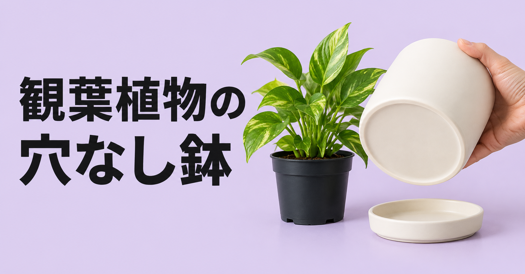 観葉植物は穴なし鉢でも育てられる？根腐れを防ぐ植え方と正しい管理方法を解説